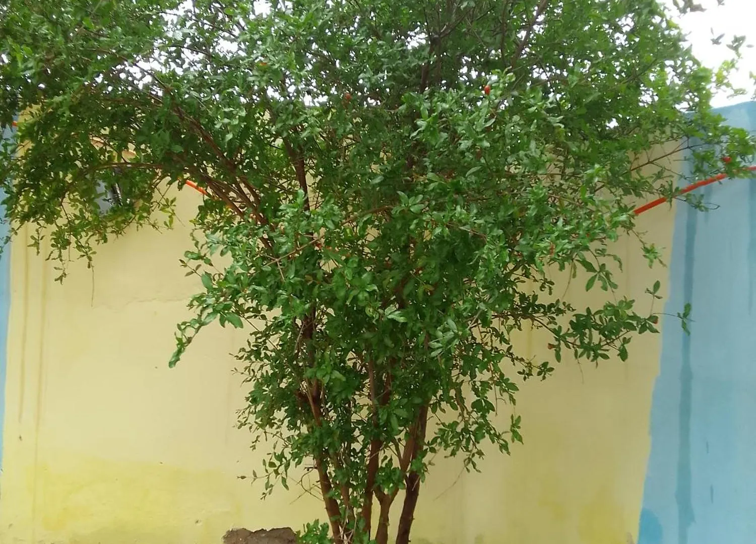 אגאדיר Appartement Imiwadar דירה